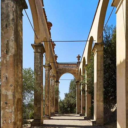 Bagni Di Pisa Palace & Thermal Spa - The Leading Hotels Of The World San Giuliano Terme Exterior foto The colonnade