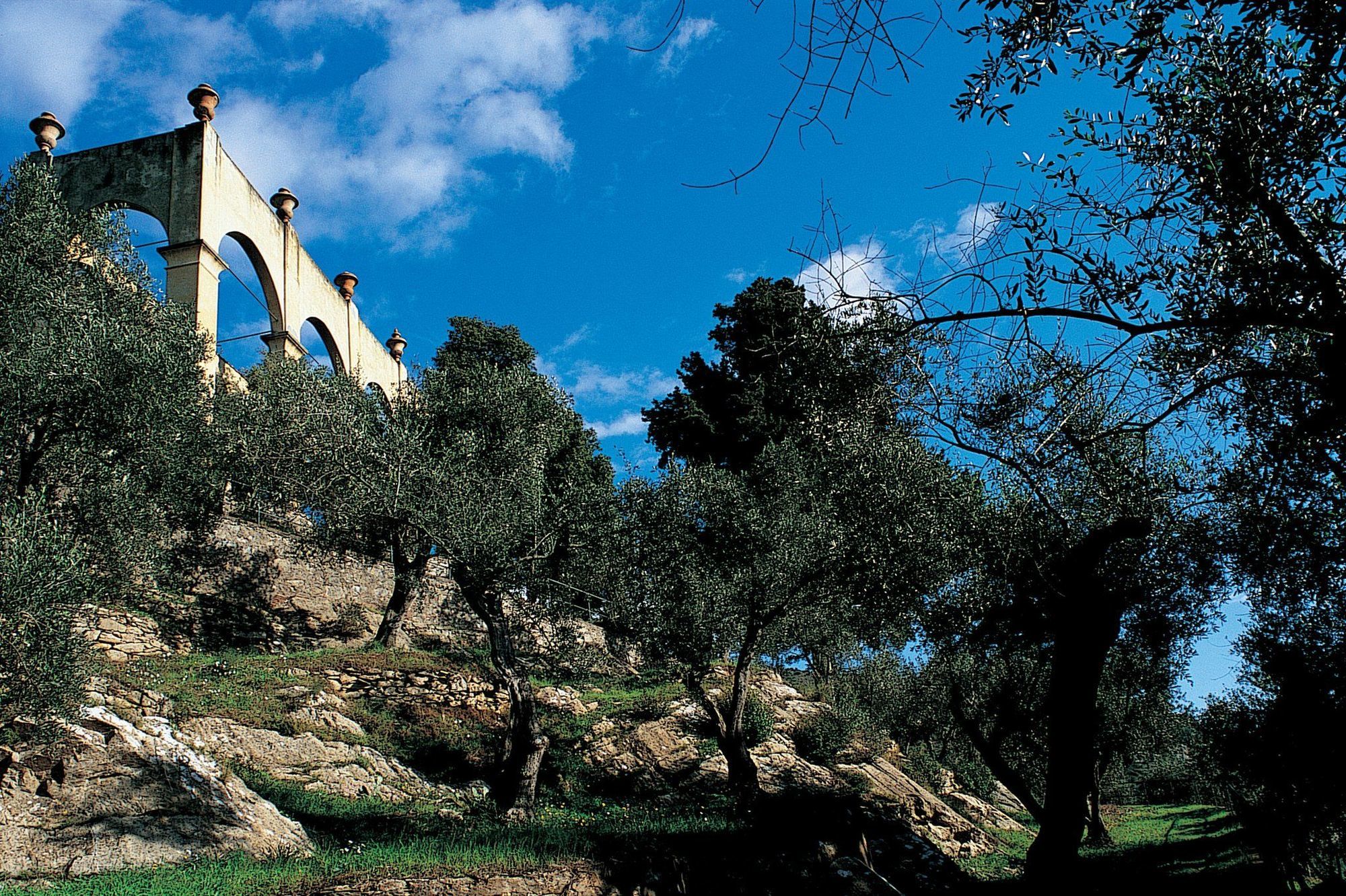 Bagni Di Pisa Palace & Thermal Spa - The Leading Hotels Of The World San Giuliano Terme Facilități foto Olive trees in the hills of Andalusia